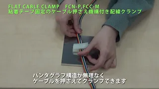 FCN-P
