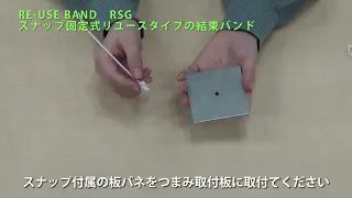 RSG